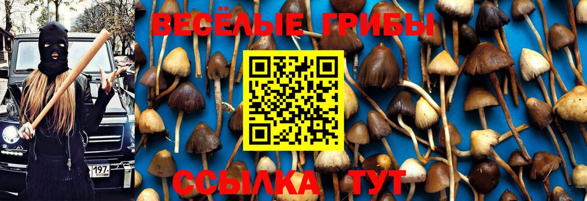 Вейп ТГК  Конопля  КОКАИН  ГАШ  Вход с VPN  Мурино  Меф МЯУ МЯУ  