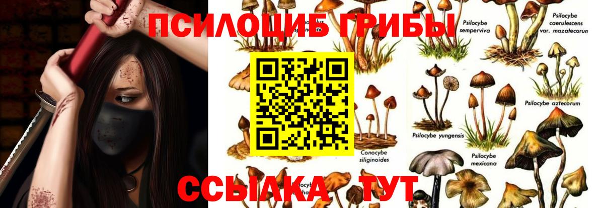 что такое   Вход с VPN  Мурино  Галлюциногенные грибы Magic Shrooms 